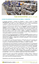 Estagio NEWSWIRE.png - 